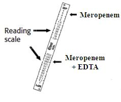 Etest , gradient strip for minimum inhibitory concentration of antibiotic