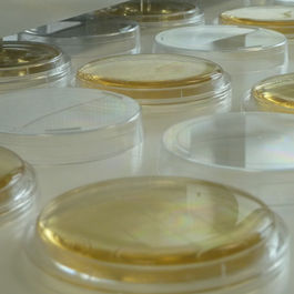 微生物检测与计数培养基